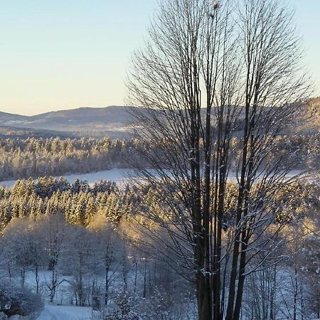 Ferienwohnung-Panoramablick-1 Боденмайс Экстерьер фото