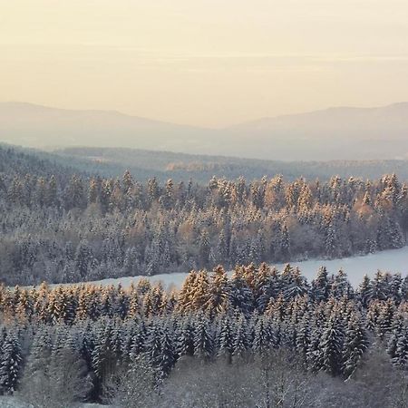 Ferienwohnung-Panoramablick-1 Боденмайс Экстерьер фото
