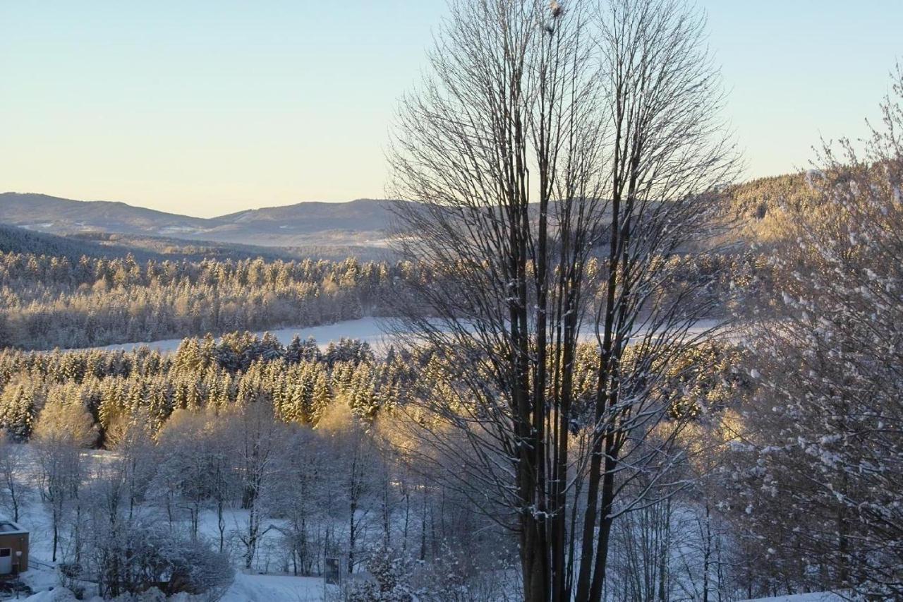 Ferienwohnung-Panoramablick-1 Боденмайс Экстерьер фото